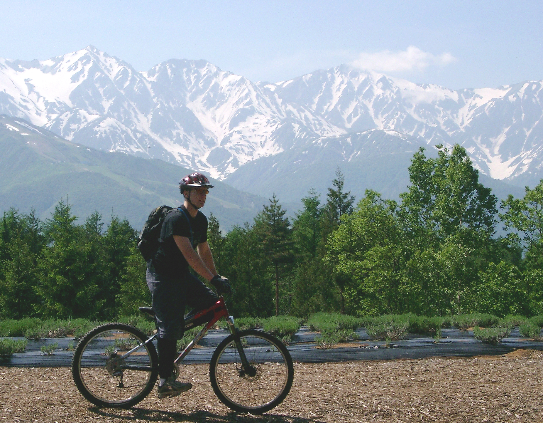 MTB|◉ファンライド